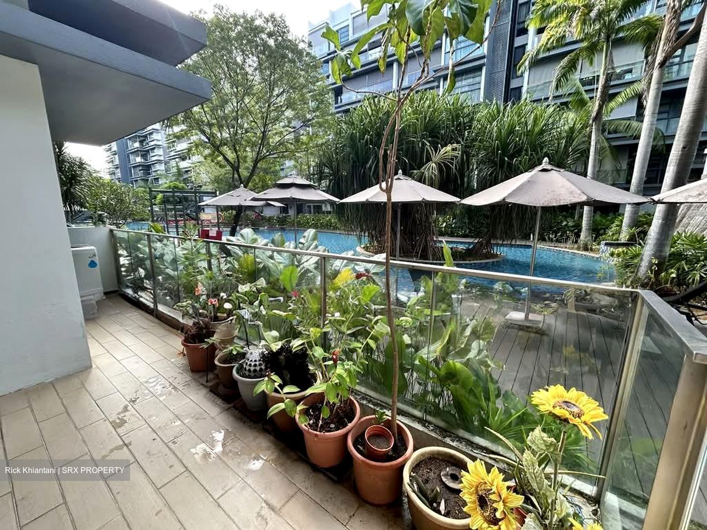 Hedges Park Condominium (D17), Condominium #555747101
